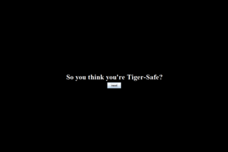 RITchie's Cybersafe Adventure