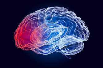 PARKINSON DOCTOR