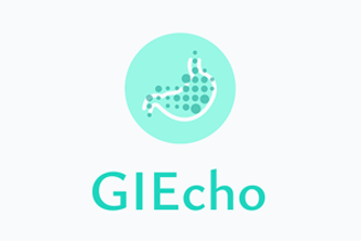 GIEcho
