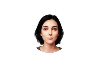 Interactive Real Time 3d Avatar for Web Visitor Assistance 