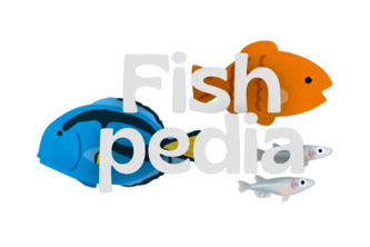 Fishpedia
