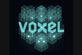 Voxel