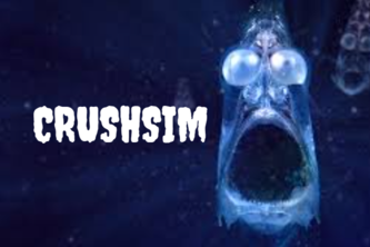 CRUSHSIM