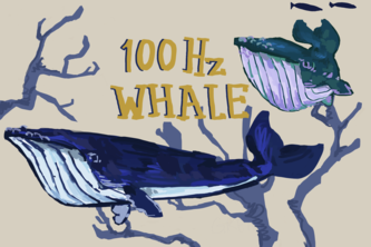 100Hz Whale