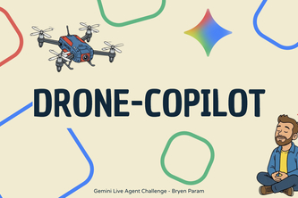 drone-copilot
