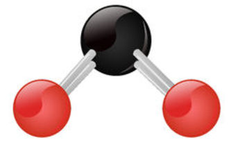 Wonderhoy Carbon Tracker