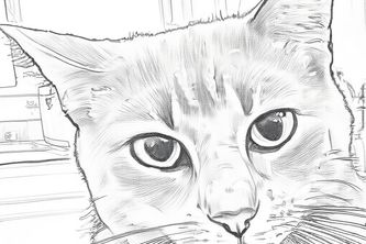 Learn2Draw