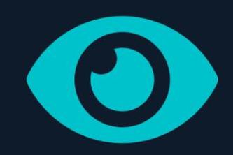 ElSEE - Electronic Sight  &  Empowering Eyes