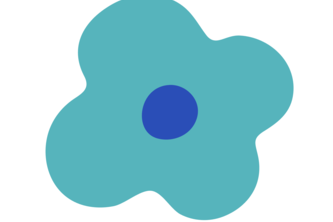 Viva: Eating disorder recovery support