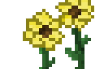 Flower Garden
