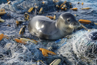 Mission: Clean Oceans