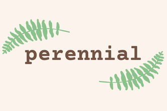 perennial