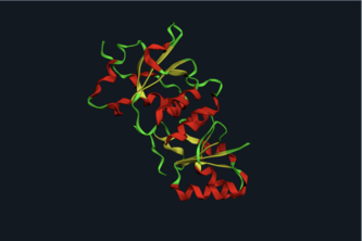 Molecular AI