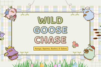 Wild Goose Chase