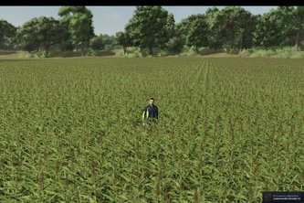 Evaluation is all you need