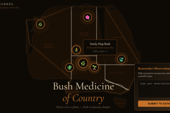 Ngurra Jukurrpa - Bush Medicine