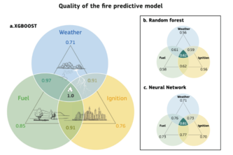 Comparative Wildfire Prediction - Florida