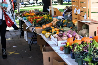 The Green Market Farm