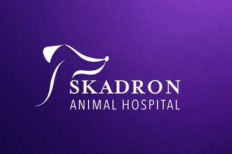 SkadApp