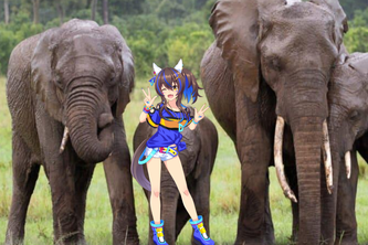 Umazing! Elephant Rumbles
