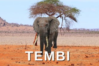 TEMBI