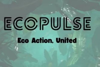 EcoPulse