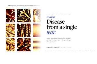 Lacrima