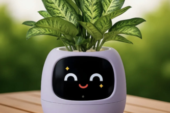 Leaf It To Us