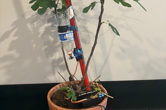 Plant Watering System