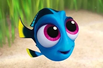 Dori.md