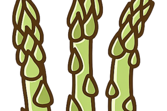 Asparagus - Made for Young Generation
