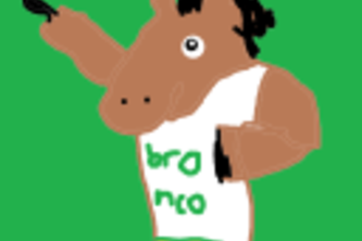 BroncoRMP