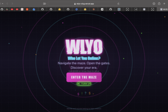WLYO — Who Let You Online? 