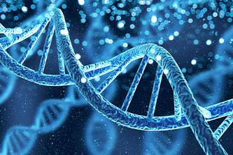 GeneOracle