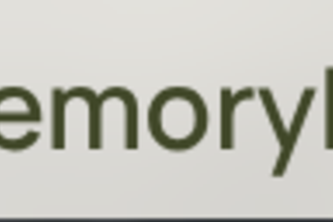 MemoryLens