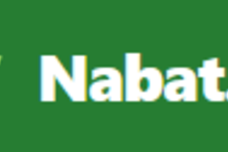 Nabat Ai