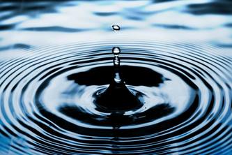 Ripple: Supply Chain Risk Sentinel