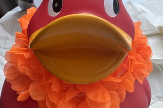 DuckDuck(hopefully)Swim