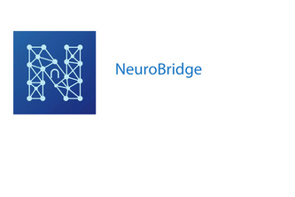 NeurpBridge