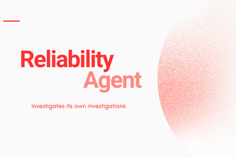 ReliabilityAgent : AI That Audits Itself