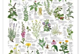 Herbal First Aid Agent