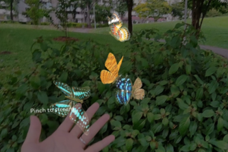 The Butterfly Path