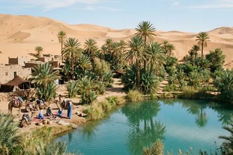 Oasis
