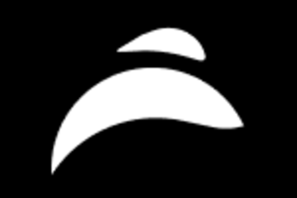 Orca