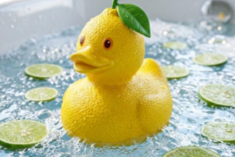 Rubber Duck Habitat Curator