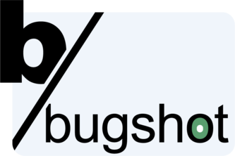 boring Bugshot