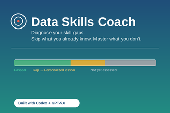 Data Skills Coach