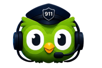 Dispatchlingo