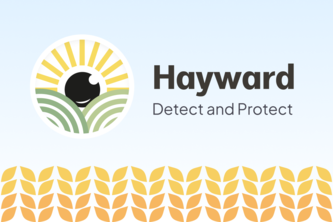 Hayward