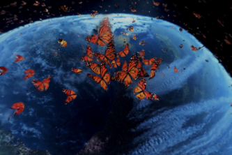 Universe